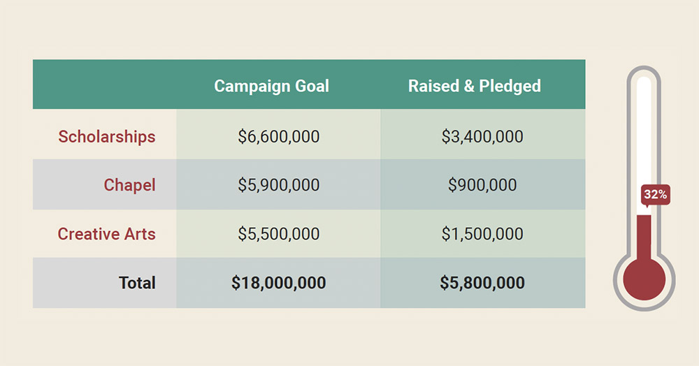 Campaign Chart