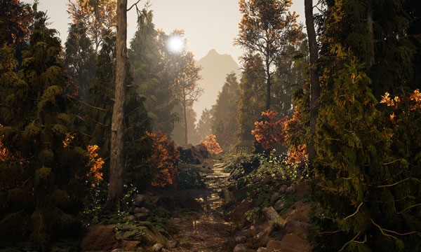 Forest Path by Bridget Baker