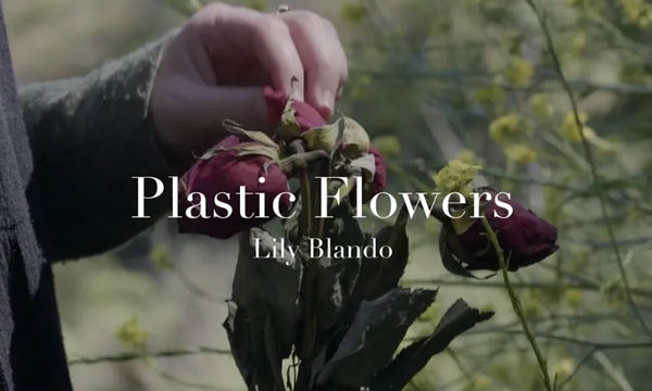 Plastic Flowers