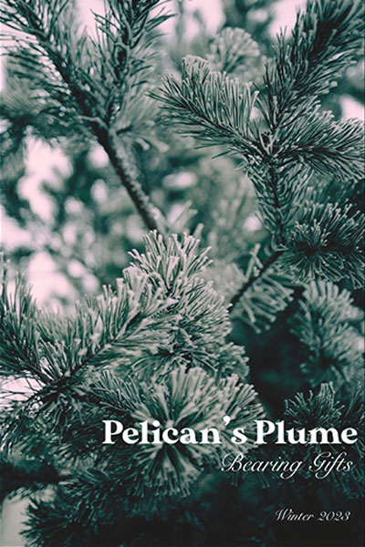 pelicans-plume-reckoning