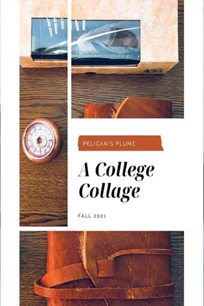 pelicans-plume-reckoning