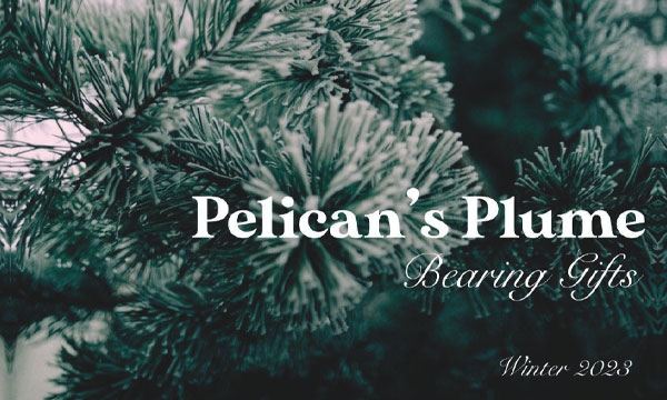 Pelicans Plume Winter 2023