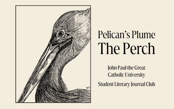 Pelican